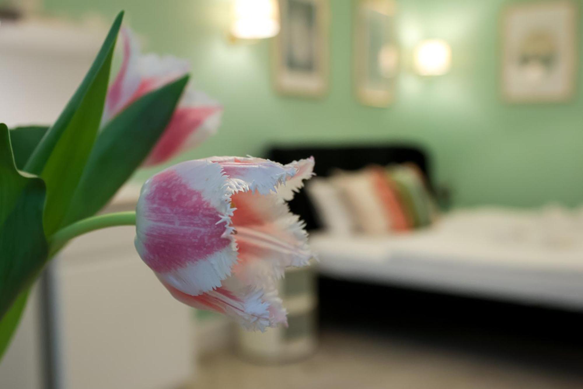 Ozone Silver&gold Appartement Boedapest